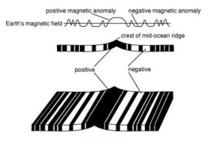 Magnetic Stripes